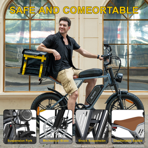 Bicicleta Eléctrica JANSNO X70 Versión Doble Batería 48V17AH+20Ah 250W, Velocidad Máxima 25KMH, Almacén UE, Venta al Por Mayor MTB, Neumático 20*4.0 - Product Image 6