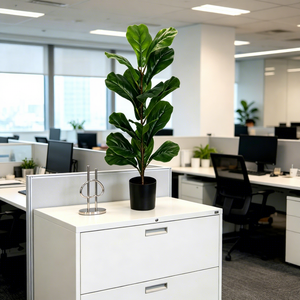 <span class=keywords><strong>Albero</strong></span> di <span class=keywords><strong>Ficus</strong></span> Lyrata Artificiale in Vaso di Varie Dimensioni per Decorazioni Matrimoniali e Forniture, <span class=keywords><strong>Albero</strong></span> Artificiale per Interni ed Esterni, Decorazione per Bar e Stanze - Product Image 1