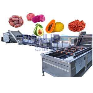 Deshidratadores Industriales de Frutas y Verduras, Secadores de Bayas de Espino Amarillo, Secadores de Pitahaya, Aguacate y Papaya - Product Image 1