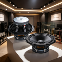 10PHL51 Altavoces de 8 pulgadas con woofer de cesta, 200W, accesorios de audio profesional para escenario, bobina de voz de 2'', OEM ODM de fábrica