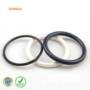 Уплотнительное кольцо DLSEALS 55x5 мм с FEP/<span class=keywords><strong>PTFE</strong></span>-изоляцией и сердечником из FKM, химически стойкое, для насосов и клапанов, поставка OEM на выставку March Expo 2026 - Product Image 4