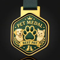 Médailles personnalisées pour animaux de compagnie, en or, argent et bronze, avec étiquettes d'identification en métal pour chiens et chats, promotion pour la fête des pères, cadeaux en gros