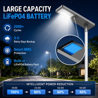 Lampadaire solaire LED intelligent pour ville avec caméra (en option) Système d'éclairage routier extérieur classé IP66 avec batterie de secours