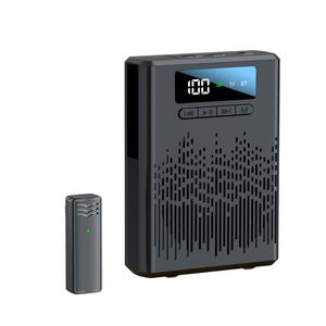 Altavoz Inalámbrico Modelo Privado Zl-66, Altavoz Pequeño Tipo Bee para Profesores, Sin Aullidos, Reproductor Portátil de Cintura - Product Image 5