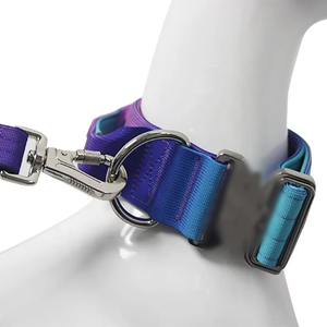 Maßgefertigtes Nylon-Hundehalsband mit Batik-Farbverlauf, 2 Zoll Breites Hundehalsband für Präzise Kontrolle, Taktisches Halsband für Große Hunde - Product Image 3