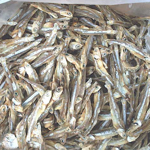 Anchoas Secas - Product Image 5