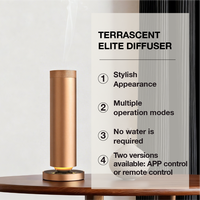 Diffuseur d'huiles essentielles promotionnel en métal pour hôtel, diffuseur d'air frais, diffuseur électrique USB sans eau pour la maison et le bureau, 100 ml