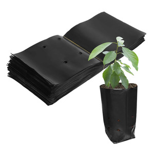 Sacchetti <span class=keywords><strong>di</strong></span> plastica per <span class=keywords><strong>piante</strong></span> <span class=keywords><strong>da</strong></span> fiore <span class=keywords><strong>da</strong></span> <span class=keywords><strong>frutto</strong></span> per vasi e trapianti <span class=keywords><strong>di</strong></span> giardinaggio - Product Image 2