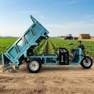 2026 New Heavy Duty Tricycle 300-500kg Load Open Body Large <b>Box</b> Farm Transport Available - Product Image 2