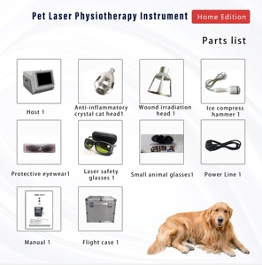 Kuda kucing anjing terbaru 60W Laser terapi penghilang rasa sakit lampu merah terapi hewan fisioterapi untuk klinik hewan - Product Image 6