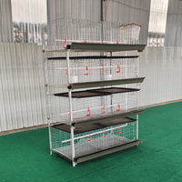 Cage à poulets de chair à 4 niveaux en acier galvanisé, capacité 60/80 poulets adultes, à vendre