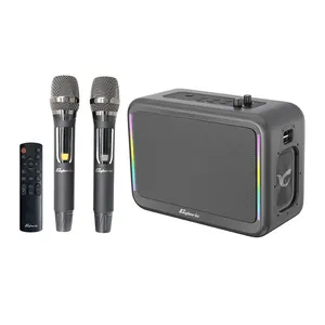 X14 200 W Dreifachfrequenz-Karaoke-Gerät mit zwei kabellosen Mikrofonen, Stereo-Bass Boombox, Karaoke-Lautsprecher für Erwachsene und Kinder