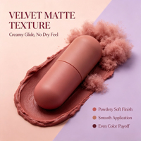 LSFAIRY Macaron Cute Matte Capsule Lipstick Set Waterproof Transfer Proof Long Lèvres durables Maquillage quotidien Logo personnalisé Vente en gros