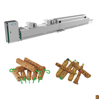 Ligne de production entièrement automatique de barres de graines pour oiseaux, machine industrielle de fabrication de barres de céréales et d'arachides, 3000 pièces/heure, moteur Darin 380V