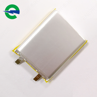 Batterie au lithium-ion polymère Enerforce 3,7 V 5000 mAh 115570 pour outils électriques