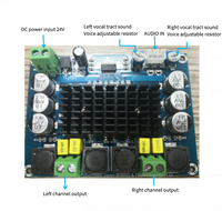 Carte amplificateur Audio numérique haute puissance TPA3116D2 amplificateur de puissance numérique bricolage double canal pour les amateurs d'audio