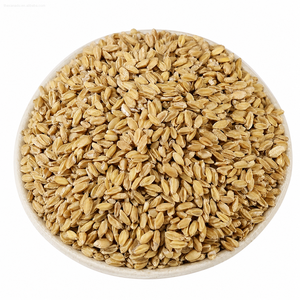 Chá de Ervas Secas de Trigo Flutuante Natural (Fructus Tritici Levis) - Fornecimento a Granel de Matéria-Prima Herbal Chinesa - Product Image 1