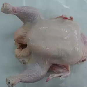 High Grade High Quality Fresh frozen whole chicken , Poultry Meat Frozen Whole Chicken