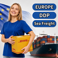 Agente Profesional de Transporte de Carga en Europa, Logística Internacional de Transporte Marítimo y Terrestre, Servicios de Despacho de Aduanas Express