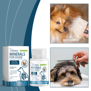 Comprimés à mâcher multivitaminés <span class=keywords><strong>et</strong></span> minéraux pour chiens, calcium, magnésium, oligo-éléments, nutrition - Product Image 3