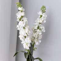 Fleur artificielle de delphinium toucher réel, tige unique violette, fausse fleur de jacinthe, fleur de mariage, arrangement floral artificiel