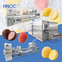HNOC Volledig Automatische IJscremeproductielijn Kleine 3D Fruit IJscrememachine