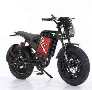 Bicicleta Eléctrica Plegable de 20 Pulgadas con Batería de Litio-Ferrofosfato, Pedaleo Asistido Electrónico, 7 Velocidades, Motor de 48V en la Rueda Trasera, Doble Motor - Product Image 3