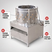 Nouvelle Plumeuse à Volaille Domestique de Petite Taille – Offre Spéciale Modèle 50 – Automatique en Acier Inoxydable Type Baril pour Poulets, Canards et Oies