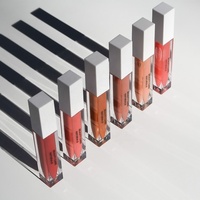 Maquillage brillant à lèvres couleurs rouge à lèvres liquide naturel végétalien longue durée étanche antiadhésif tasse ne se décolore pas mat brillant à lèvres ensemble
