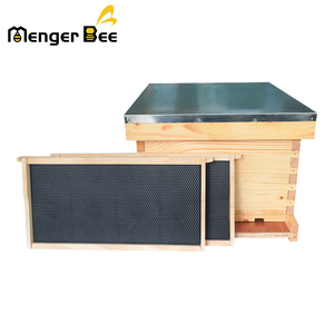 Kit de Inicio de Colmena Langstroth Completo de 3 Niveles, 10 Cuadros, Madera de Abeto, Excluidor de Reina Incluido, Nuevo, para Uso en Apicultura - Product Image 4