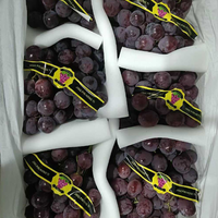 Meilleures ventes : Raisins de table Sweet Red Globe, grande taille, frais, pour jus et collation, comestibles, qualité supérieure, en vrac, boîte de 5 kg, en promotion