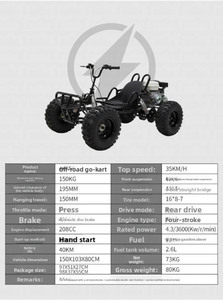 Nouveau kart à pédales tout-terrain en acier 212CC à essence pour jeunes et adultes, moteur 4 temps, idéal pour la plage et le drift - Product Image 6