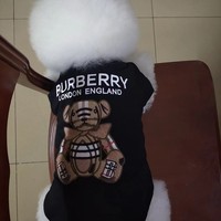 Songshantoys Offre Spéciale personnalisé chien vêtements mode Design mignon animal de compagnie été T-shirt luxe chien vêtements pour petit chien chat