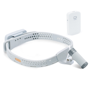 Equipo Médico Hospitalario, Dispositivo de Examen Dental, Lámpara Quirúrgica Portátil con Lupa y Montaje en Cabeza, Alimentación Eléctrica - Product Image 2