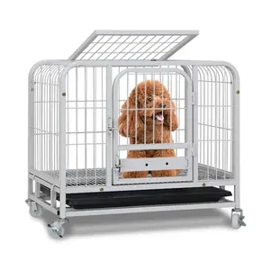 Conception à double ouverture, plus pratique à la poulie, cages pliables en acier inoxydable pour animaux de compagnie, cage en métal pour chiot.