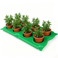 Sunsbuild Plateaux et pots ronds durables à 8 cellules pour la propagation des succulentes et des légumes, kit de démarrage complet pour le jardinage