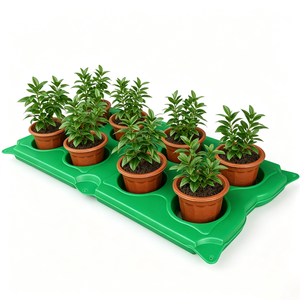 Sunsbuild Plateaux et pots ronds durables à 8 cellules pour la propagation des succulentes et des légumes, kit de démarrage complet pour le jardinage - Product Image 4