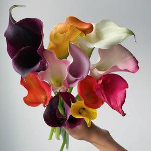 Lys Calla colorés, fleurs naturelles pour <span class=keywords><strong>mariée</strong></span>, fête des mères, Saint-Valentin, Yunnan Kunming, cheveux raides - Product Image 2