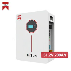 Harga Pabrik Baterai LiFePO4 10kWh 51.2V 200Ah Terpasang di Dinding untuk Penyimpanan Energi Surya Rumah Tangga - Product Image 1