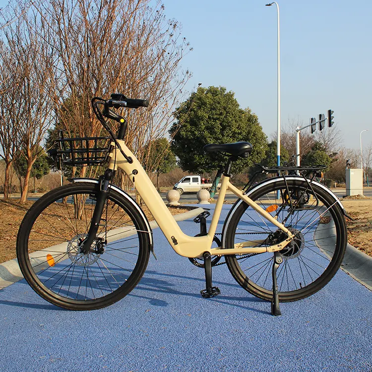 Enduro Road Ebike Groothandel Lichtgewicht Sport Middenaandrijving Elektrische Stadsfiets 250W Voor Volwassenen Fiets Elektrische Stadsfiets