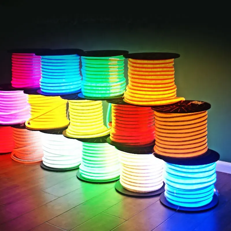 Custom color changing ip68 waterproof led neon flex 12v strip rope light 24v