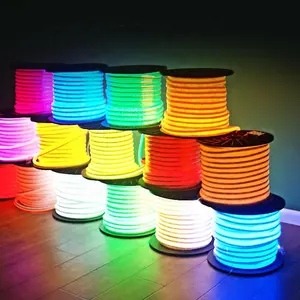 Custom Color Changing Ip68 Waterproof Led Neon Flex 12v Strip Rope Light 24v