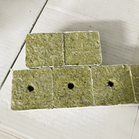 Blocs de culture carrés en laine de roche hydroponique pour jardin domestique, culture sans sol en serre, base de compression, culture sans bruit