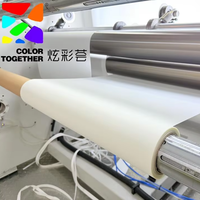 Film de transfert DTF Premium 60cm 100m en rouleau, pelable à froid et à chaud, double face mat pour impression textile numérique