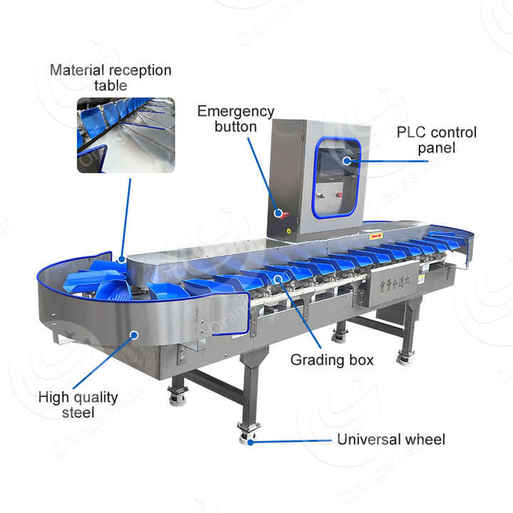 ORME Olive Carrot Grade Machine Raw Fish Sort Machine Fruit and ...