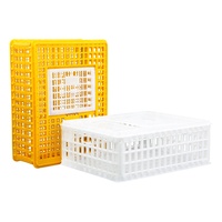 Caisse de transport robuste en plastique haute résistance, couleurs personnalisées, 75*55*27 cm, sûre pour le transport de poulets