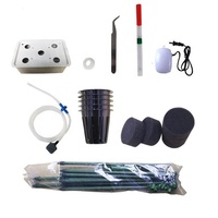 Kit de culture hydroponique de cm, plantation de tomate avec treillis, vignes en plein air, tour d'arbre, jardin vert