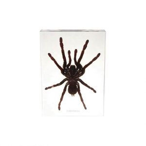 50206,21 образец встраивания тарнтула - Product Image 1