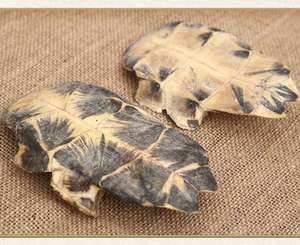 Plastrón de Tortuga Seco Entero Natural Gui Ban para Hierbas, Adelgazamiento, Té Saludable a Granel - Product Image 4