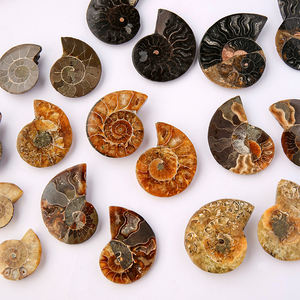 haute qualité, pierres minérales naturelles de guérison, quartz clair, forme libre, cristal irrégulier - Product Image 1